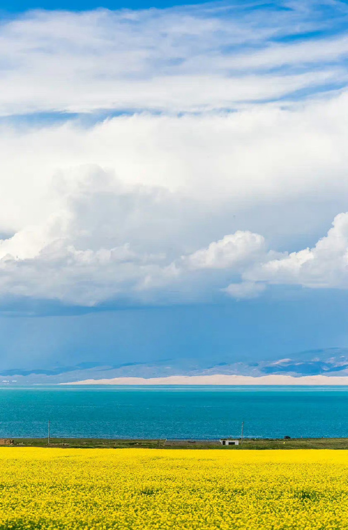 青海，生态宝库与民族团结的高质量发展基地