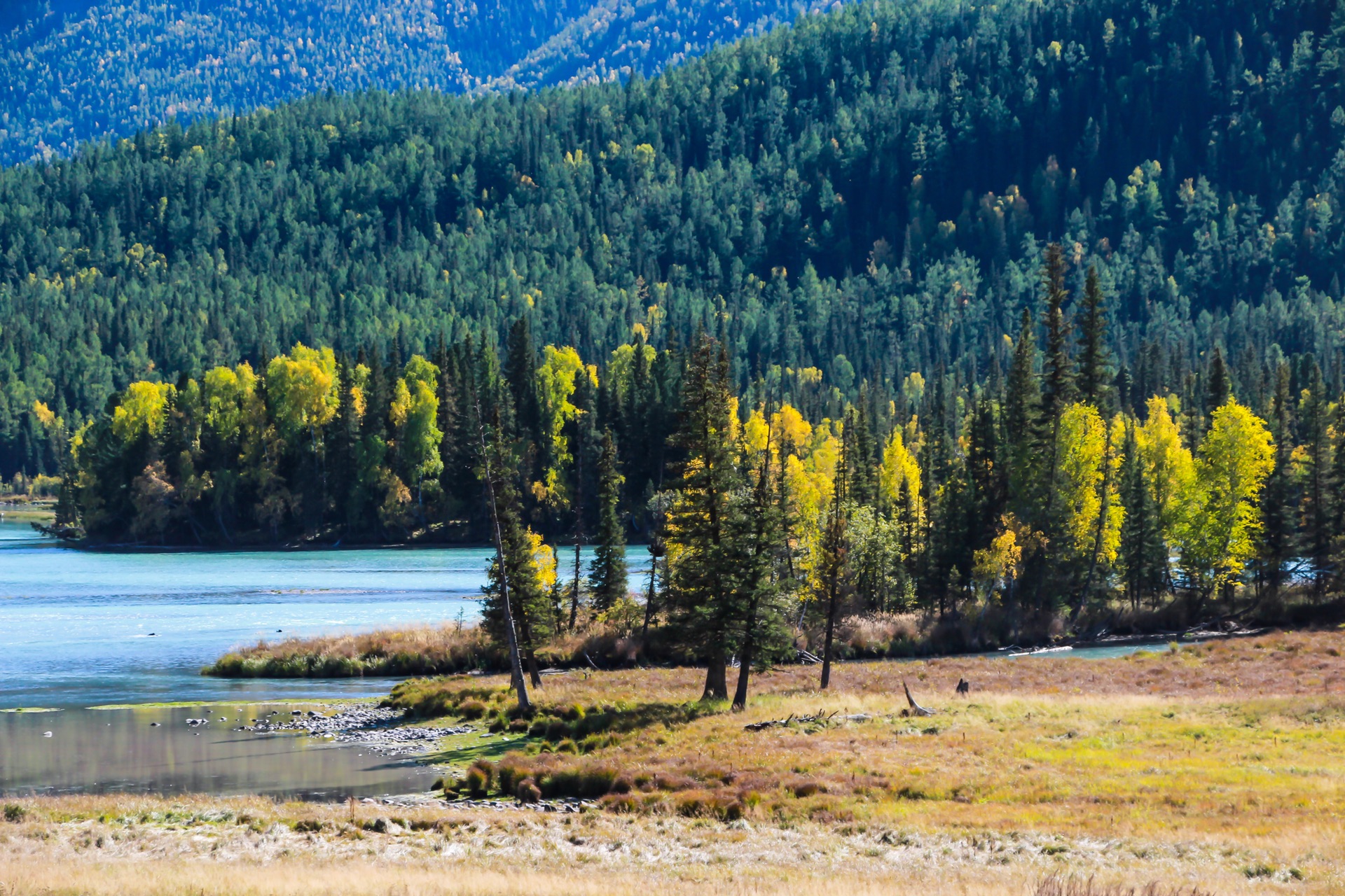 新疆小巷深处的特色小店，探寻未知的宝藏角落