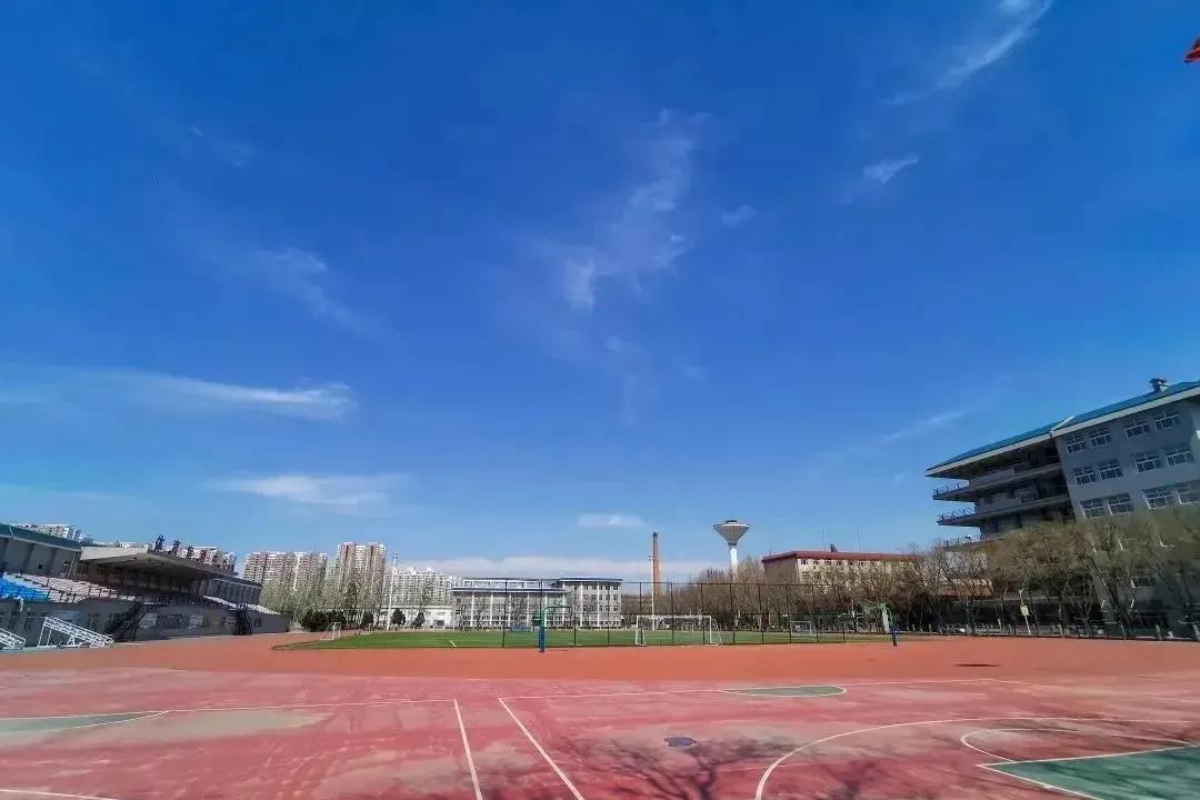 保定日常，友情、家庭与温馨的旅程